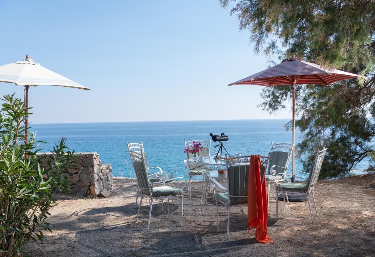Margarita Apartments Ierápetra Екстериор снимка